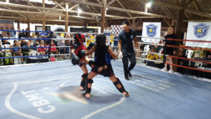 Read more about the article Atleta KIDS Champions Factory Muay Thai pelo Desafio Brasil Muay Thai de lutas casadas