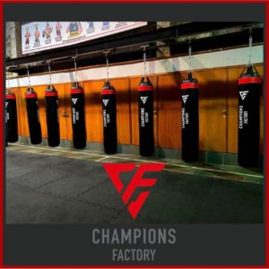 Read more about the article Champions Factory Copacabana