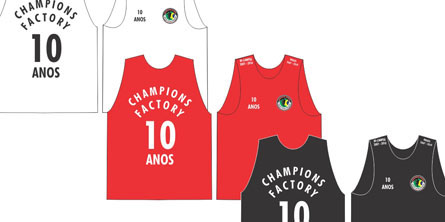 Read more about the article 10 anos de Champions Factory