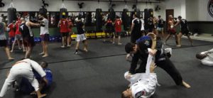 Read more about the article Treinamento de Muay Thai na Barra da Tijuca