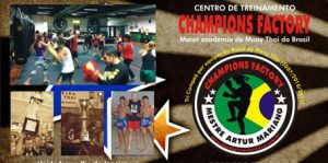 Read more about the article CT Champions Factory de artes marciais